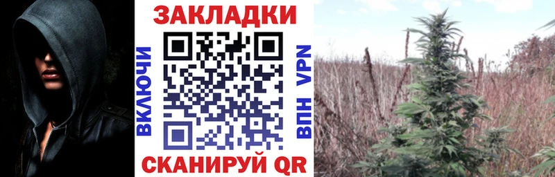 Каннабис Зеленоградск