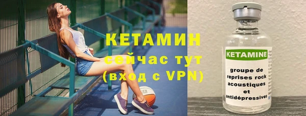 сатива Вяземский