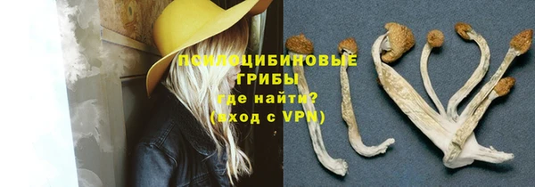 дживик Вязьма