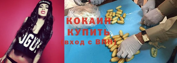 сатива Вяземский