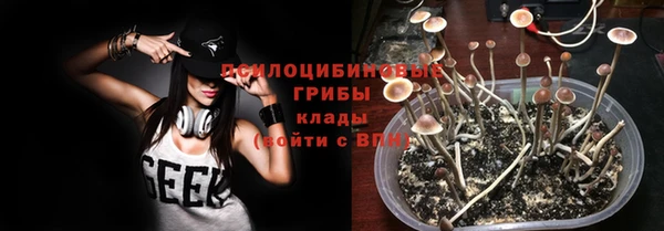 дживик Вязьма