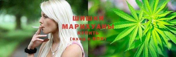 дживик Вязьма