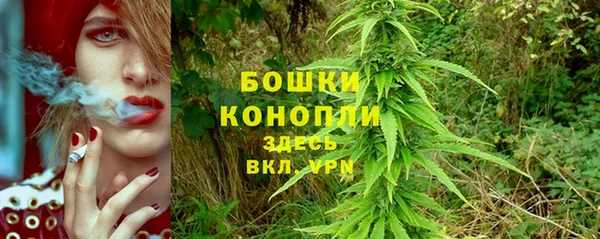 сатива Вяземский
