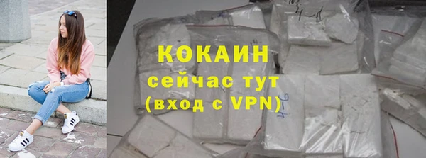 сатива Вяземский