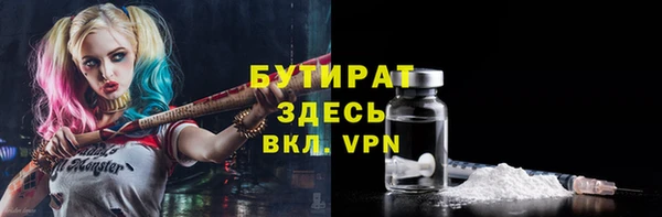 сатива Вяземский