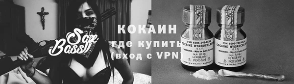 дживик Вязьма