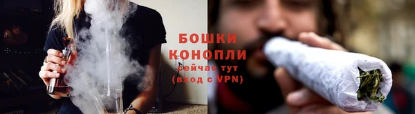 сатива Вяземский
