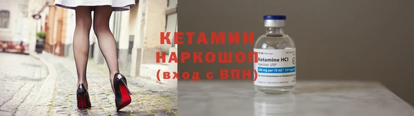 сатива Вяземский