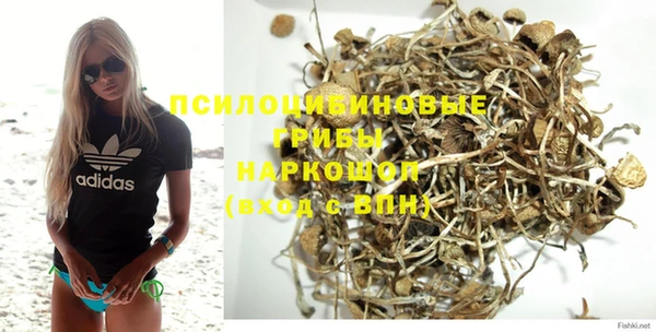 сатива Вяземский