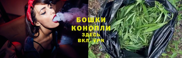дживик Вязьма