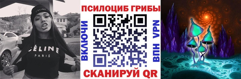 мориарти Telegram  Зеленоградск  Галлюциногенные грибы Cubensis 